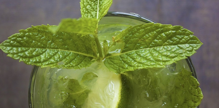 mojito, cocktail, drink-814042.jpg